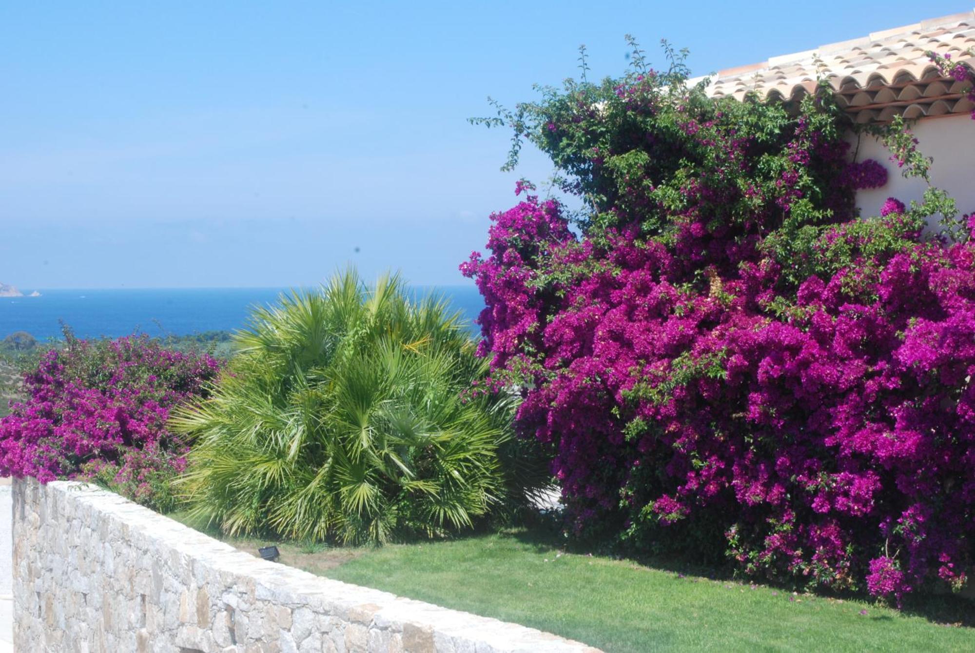 Villa La Vista Lumio  Exterior photo